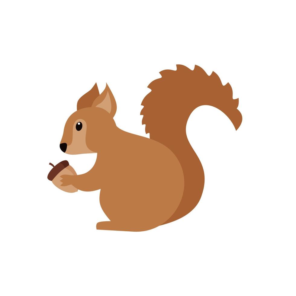 rode pluizige eekhoorn met pluizige staart die eikel vectorillustratie houdt vector