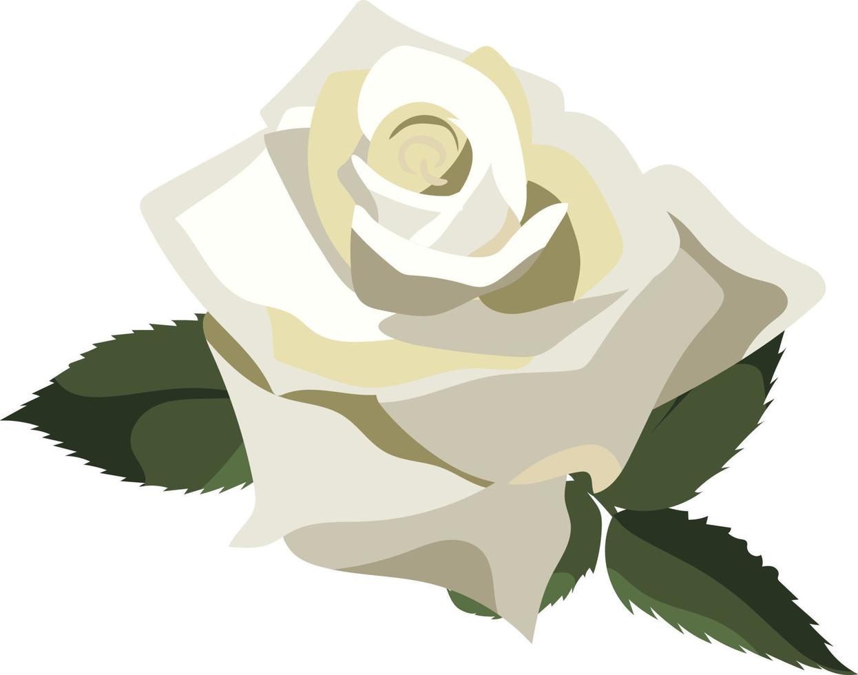 single weelderig wit roos met groen bladeren, geïsoleerd Aan wit achtergrond vector