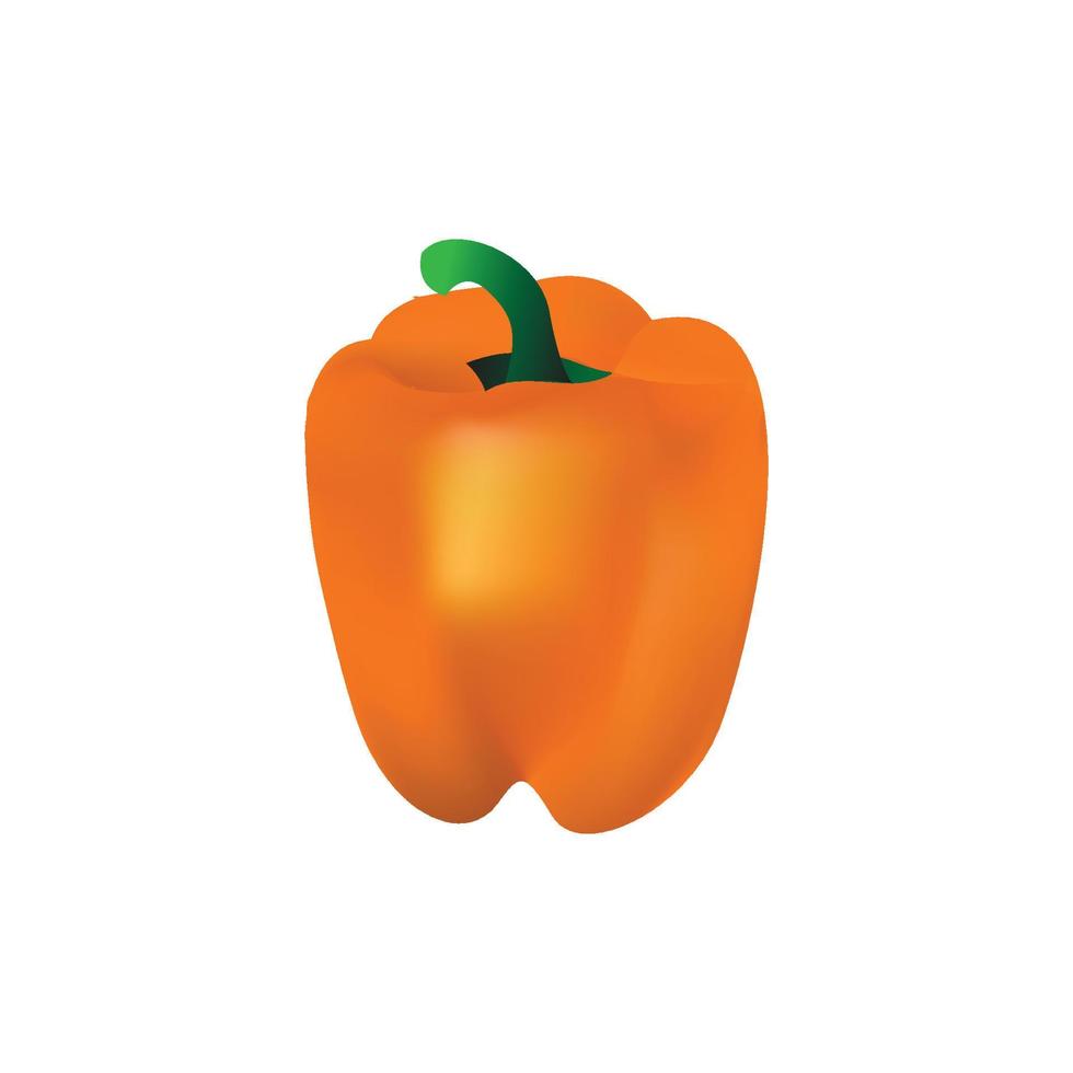 realistisch paprika vector illustratie