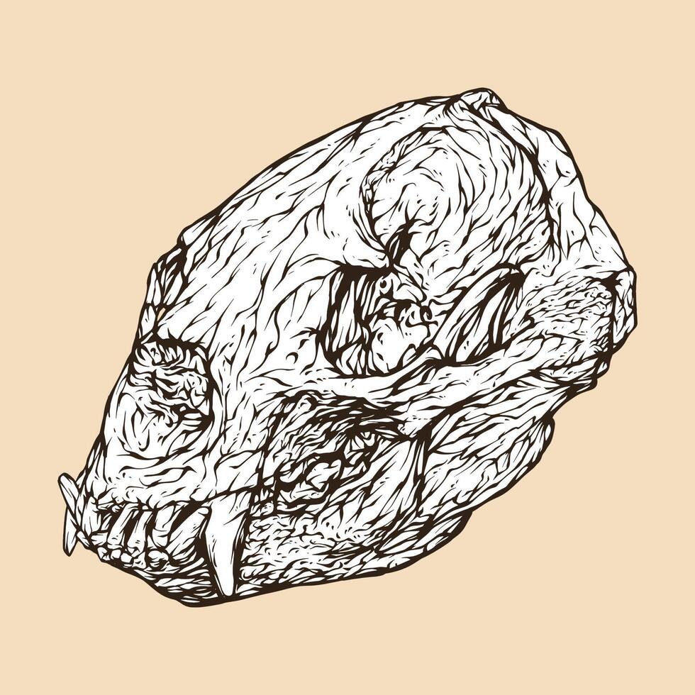 Aziatisch zwart beer schedel hoofd vector illustratie