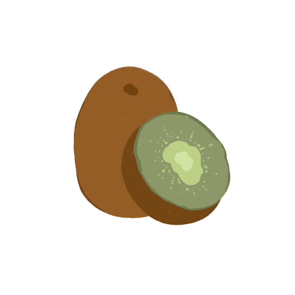 groen kiwi fruit illustratie vector