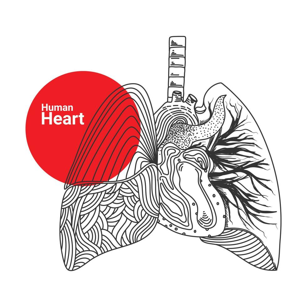 hand- getrokken schetsen van menselijk hart orgaan vector