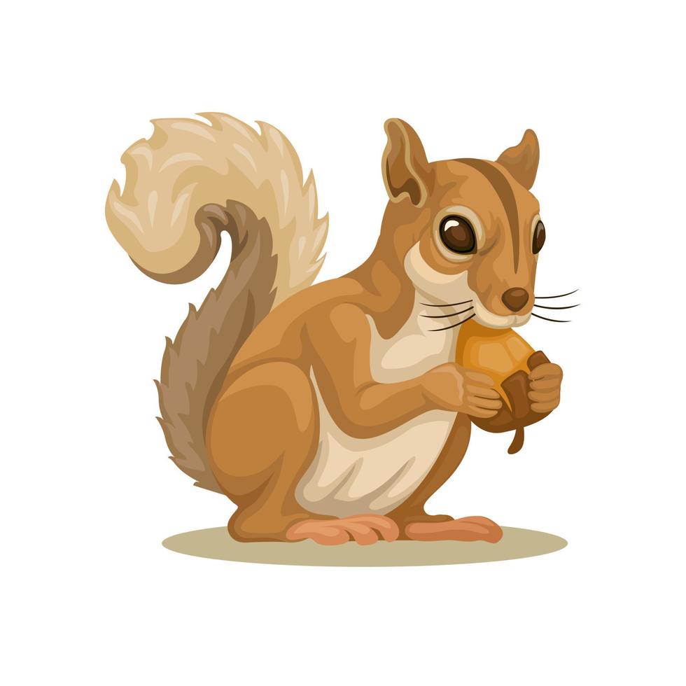 squirell aan het eten okkernoot karakter mascotte tekenfilm illustratie vector