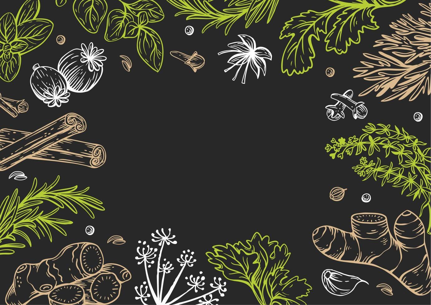 vector kopiëren ruimte lineair illustraties met specerijen en kruiden, basilicum, peterselie, koriander, rozemarijn, kaneel, Chili, peper, tijm, kurkuma, zwart peper, gember, oregano, komijn