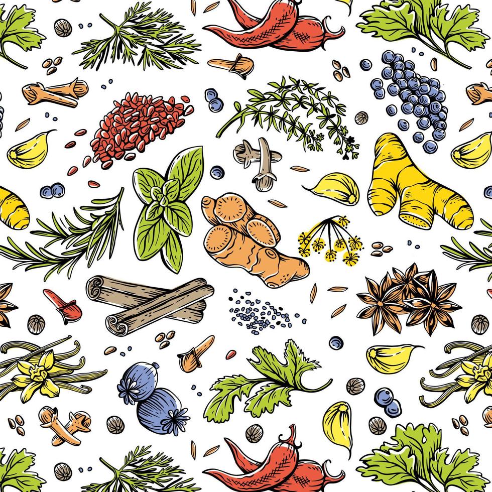 naadloos kruid patroon. kruiden en specerijen. peper, sesam, tijm, basilicum, koriander, kaneel, kruidnagel vector