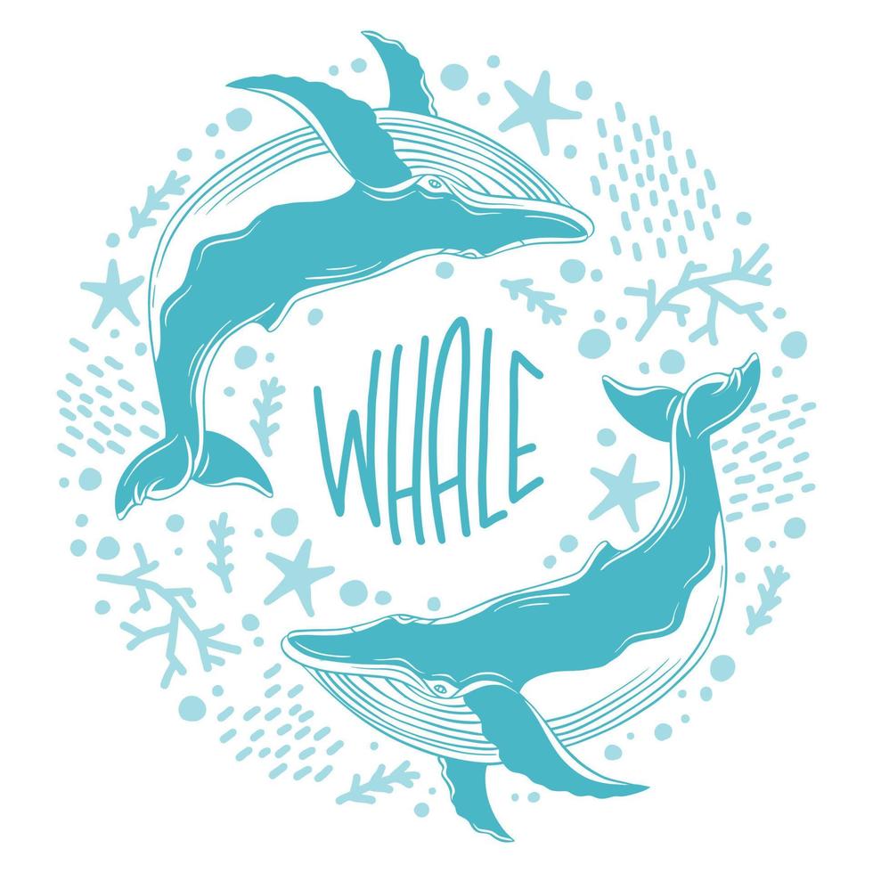 walvissen geschilderd in de stijl van lijn kunst. vector illustratie met marinier leven Aan een wit achtergrond. walvisachtigen met de opschrift - walvis