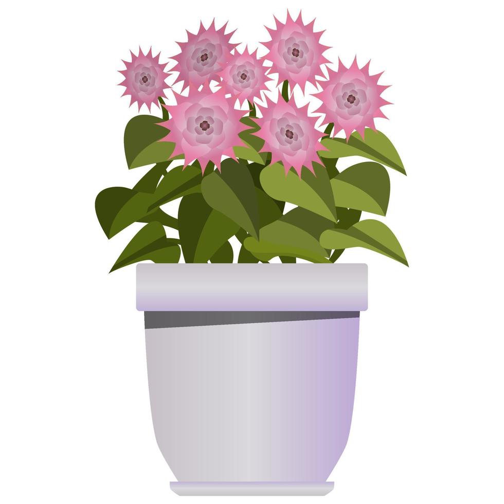 roze bloemen in Purper pot in realistisch stijl. bloem bed voor de venster. kleurrijk vector illustratie geïsoleerd Aan wit achtergrond.