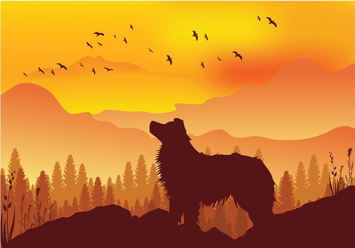 Border Collie Silhouette Gratis Vector