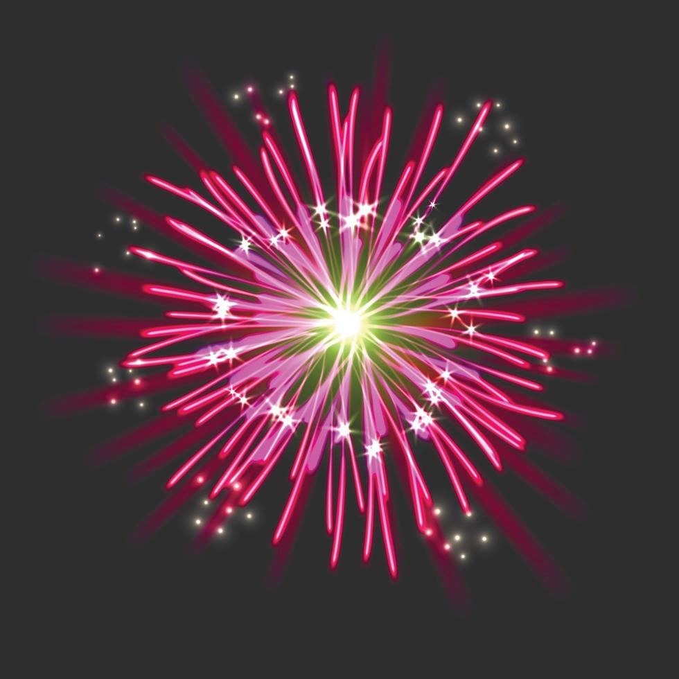 nieuw vuurwerk teken vector