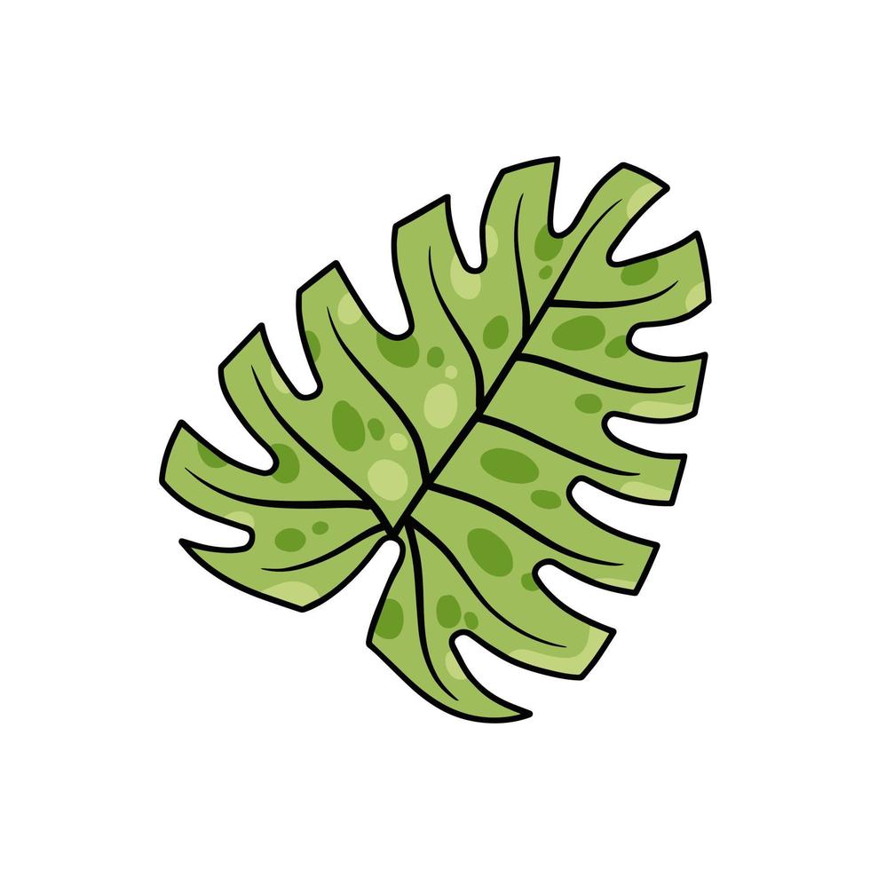 monstera blad. geen huisplan, tropisch fabriek voor groen afdrukken. vlak tekenfilm illustratie geïsoleerd Aan wit vector
