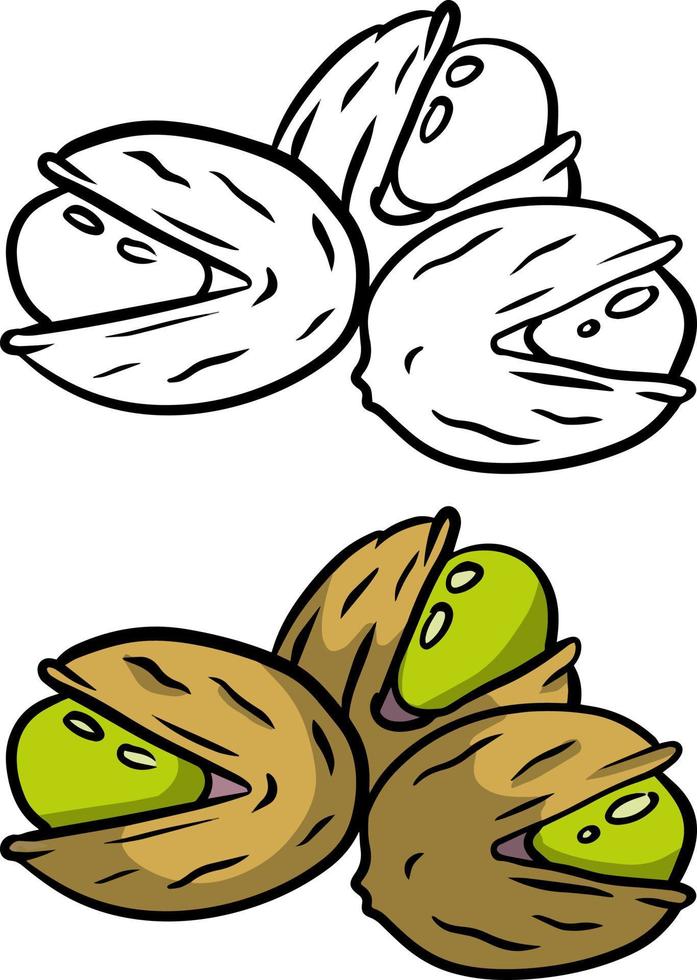 pistachenoten. groen noten in hun schelpen. reeks van okkernoot. tussendoortje en voedsel. tekenfilm vlak illustratie vector