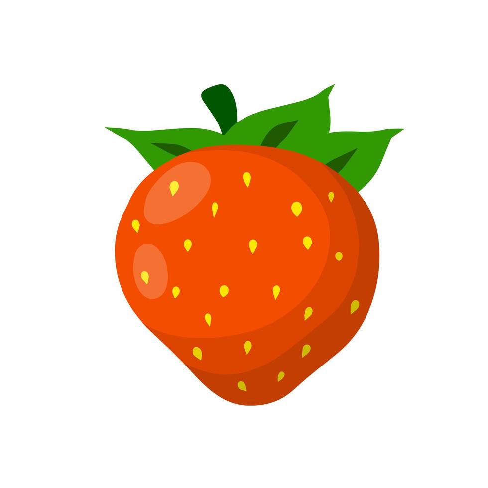 aardbei. rood zoet BES. toetje en natuurlijk voedsel. klein fruit. vlak tekenfilm illustratie geïsoleerd Aan wit vector