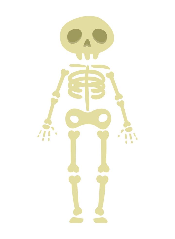 persoon met skelet kostuum vector
