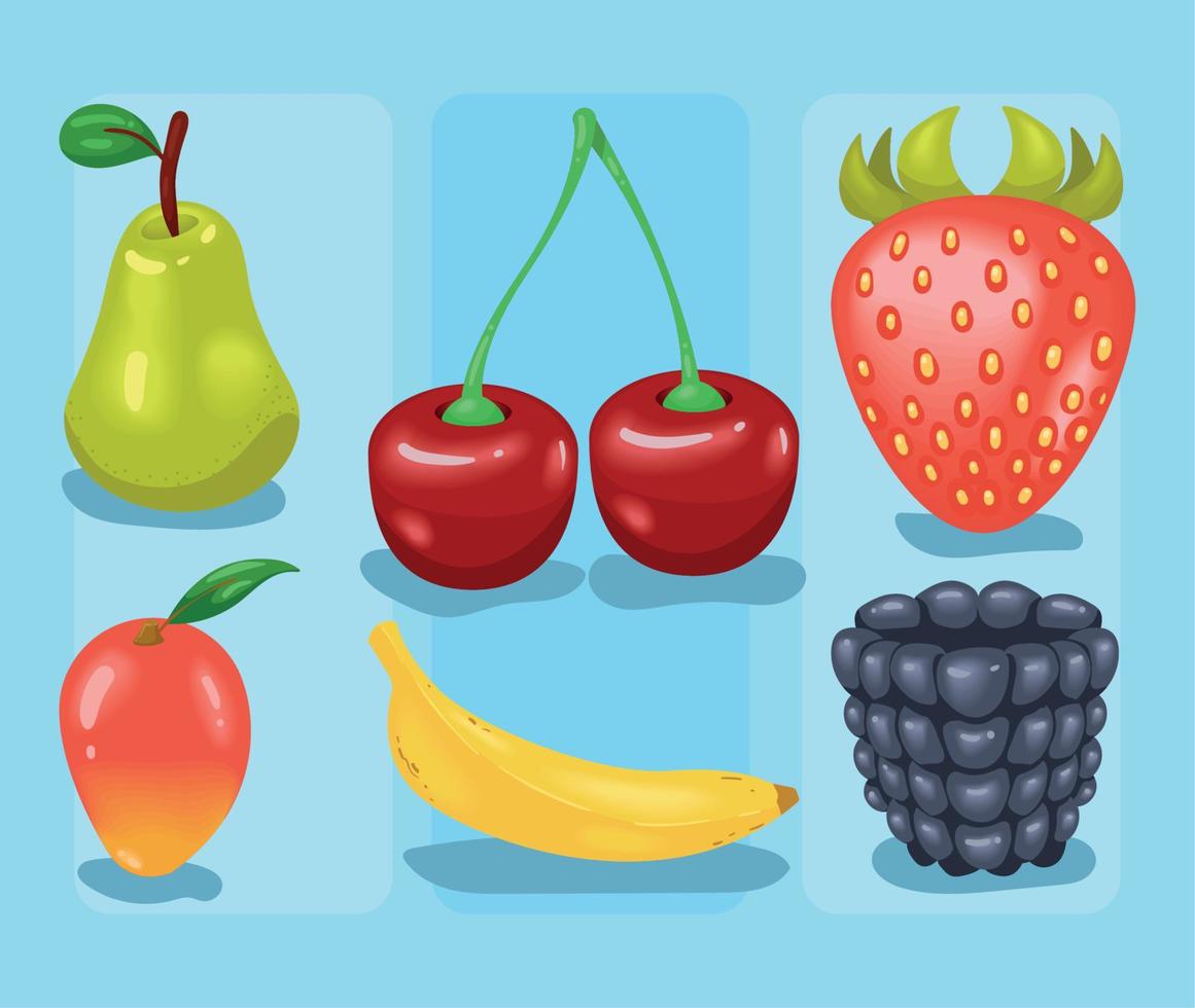 zes vers fruit gezond vector