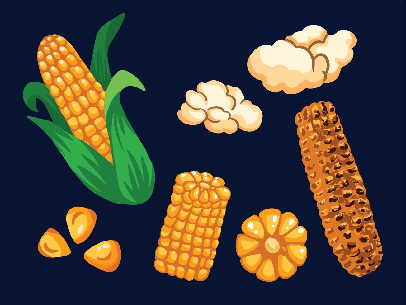 maïs verzameling reeks van zaad, knal maïs, en geroosterd maïs. lekker zomer tropisch voedsel vector illustratie met vlak hand- getrokken kunst stijl.