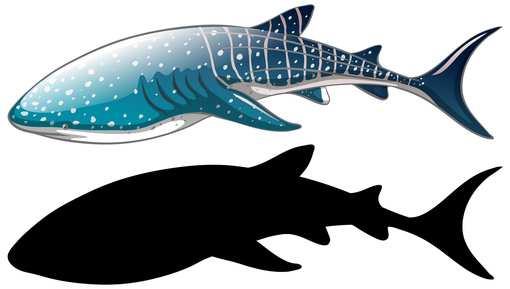 walvishaai karakters en zijn silhouet op witte achtergrond vector
