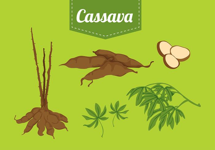 Cassave Set Free Vector