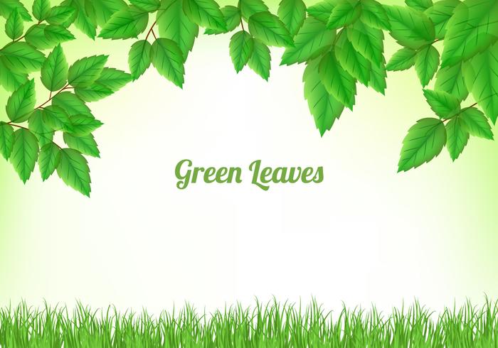 Groene bladeren achtergrond vector