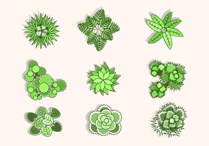 Flat Top Weergave van boom vectoren