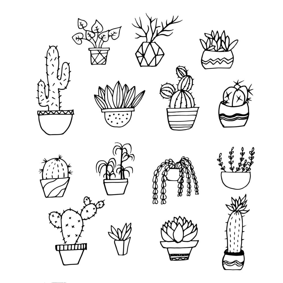 hand getrokken cactus en vetplanten vector