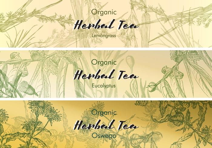 Tea Labels Vintage vector