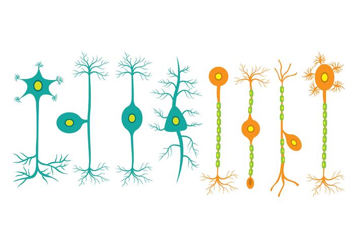 neuron pictogrammen vector