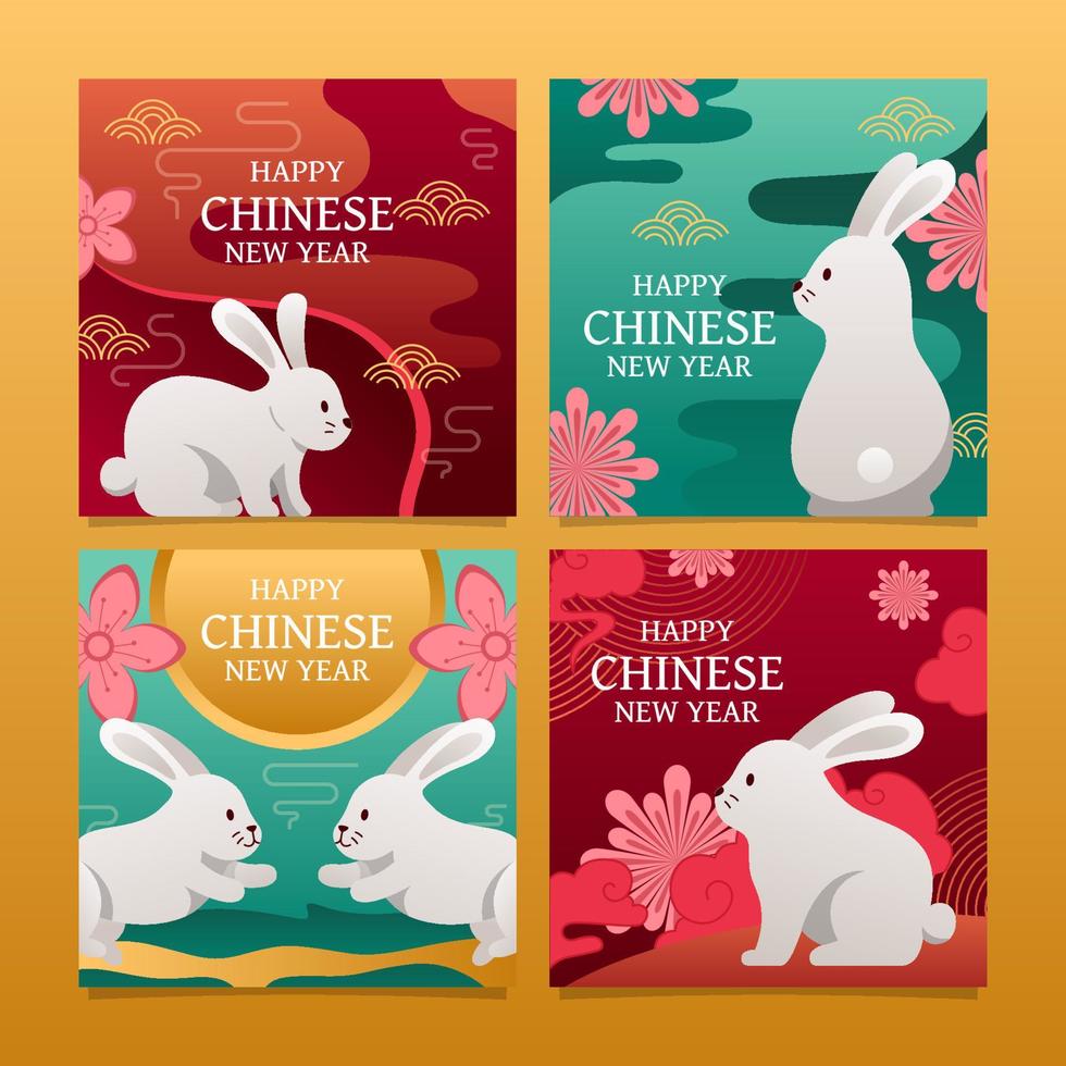 gelukkig Chinese nieuw jaar water konijn sociaal media post vector