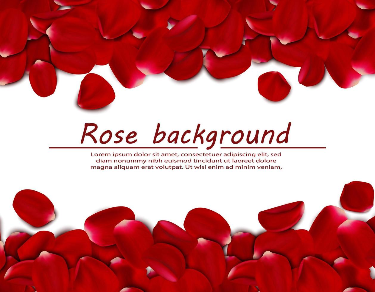 vector realistisch roos bloemblaadjes, horizontaal banier achtergrond.