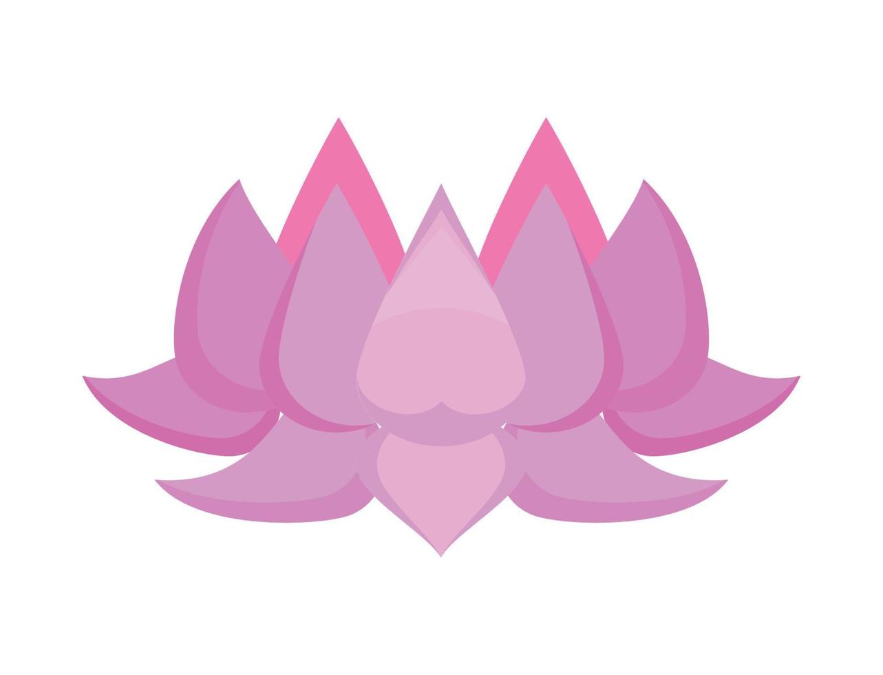 lila lotus bloem decoratie vector