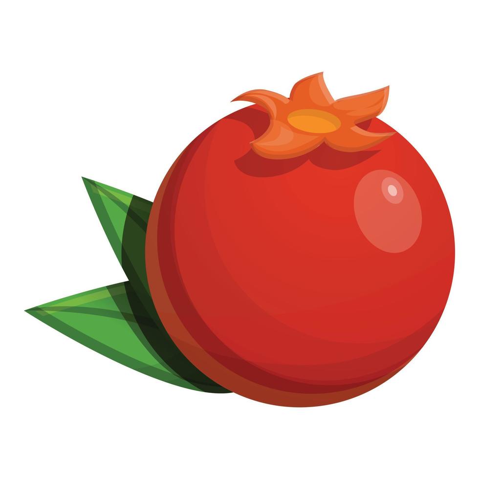 geheel granaatappel icoon, tekenfilm stijl vector