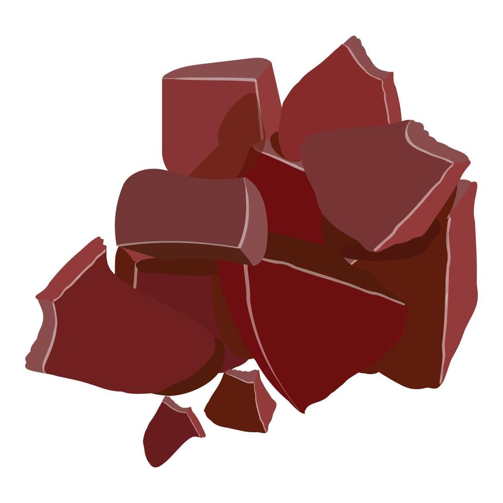 stuk cacao icoon tekenfilm vector. fruit blad vector