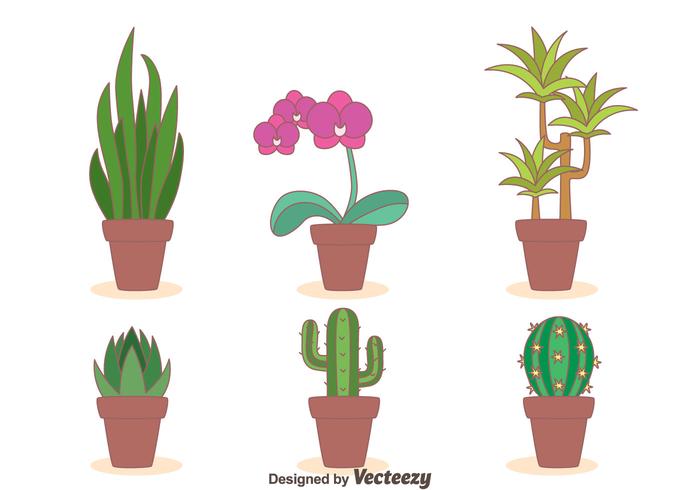 Kamerplanten Collection Vector