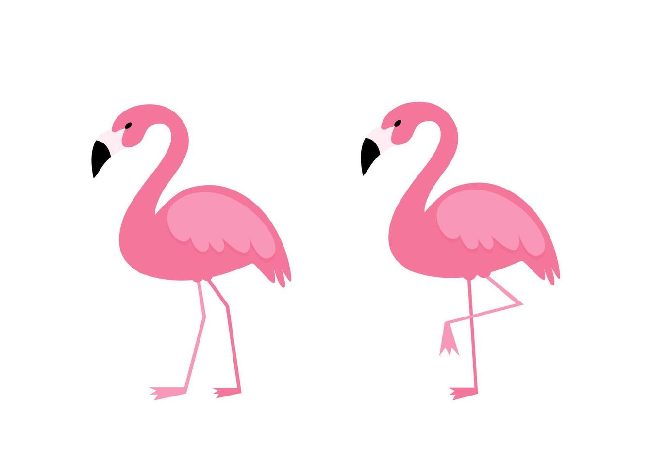 roze flamingo vector illustratie geïsoleerd Aan wit achtergrond.