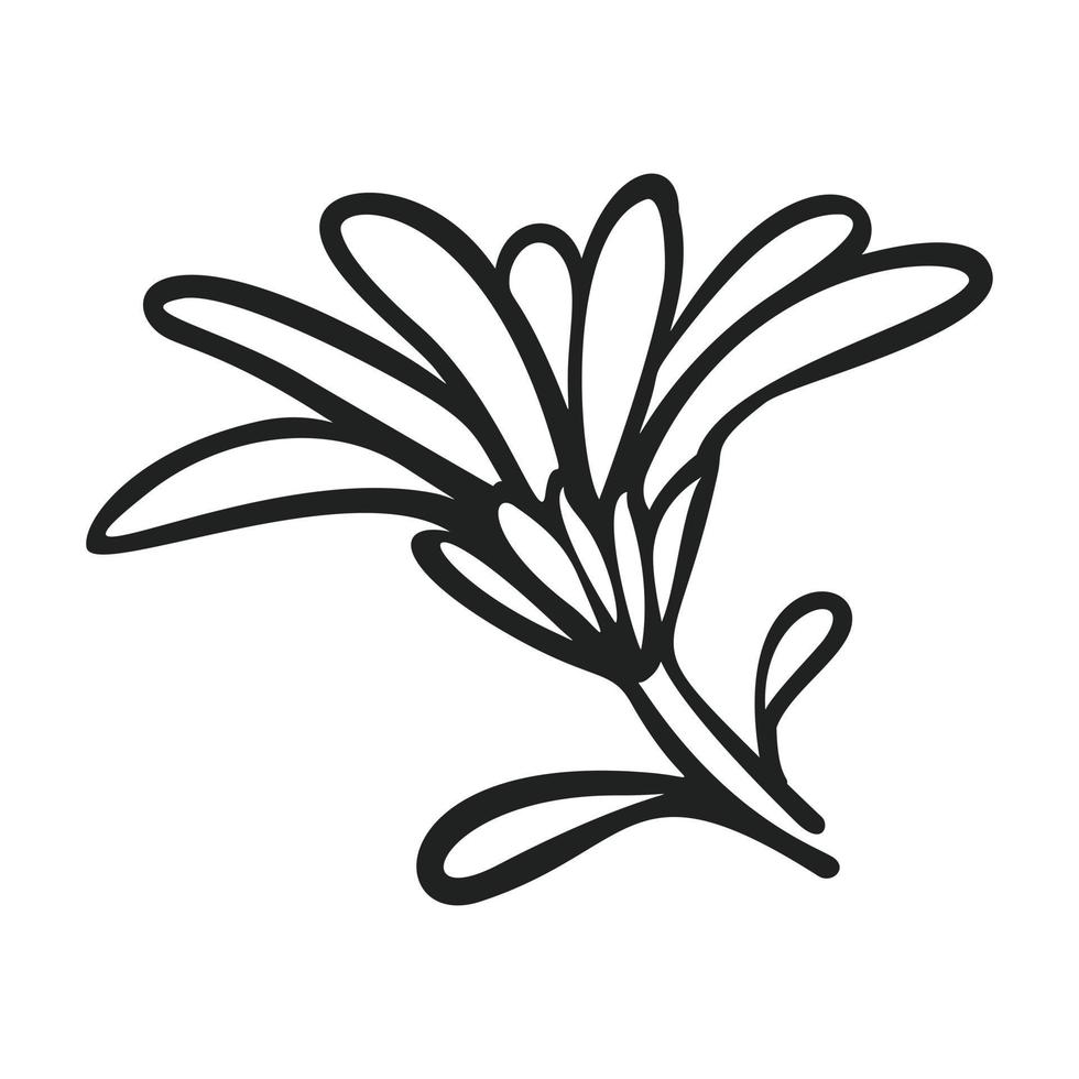 calendula bloem icoon, gemakkelijk stijl vector