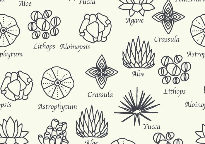 botanische Pattern vector