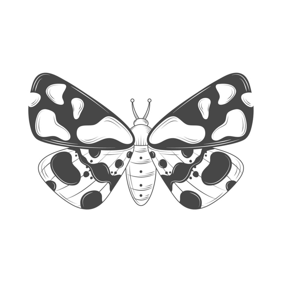 vlinder insect dier vector