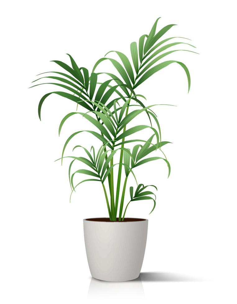 3d realistisch vector verdieping huis groen plant, palm in wit pot. geïsoleerd Aan wit illustratie icoon.