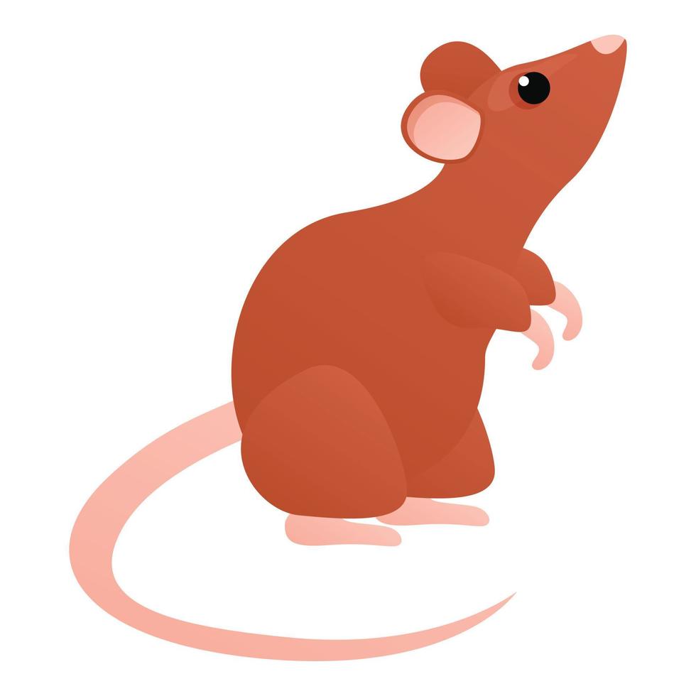 schattig Rat icoon, tekenfilm stijl vector