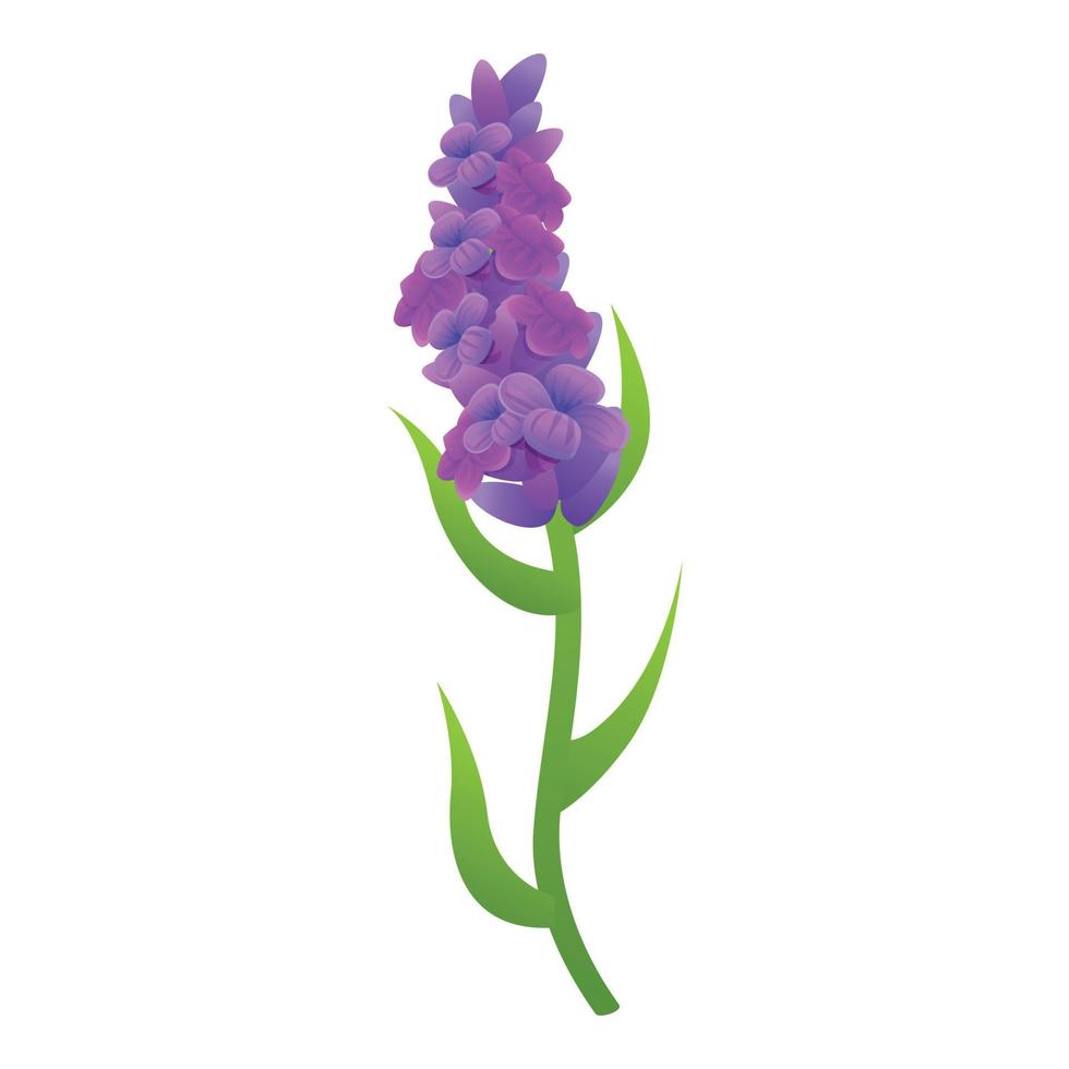 lavendel icoon, tekenfilm stijl vector