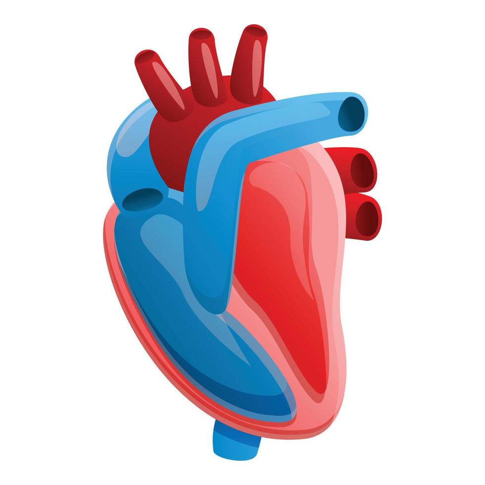 anatomie menselijk hart icoon, tekenfilm stijl vector