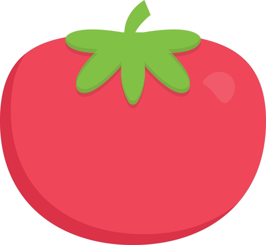tomaat vectorillustratie op een background.premium kwaliteit symbolen.vector iconen voor concept en grafisch ontwerp. vector