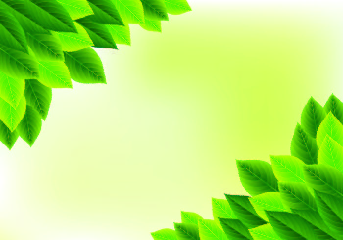 Achtergrond Van Natural Green Leaves vector