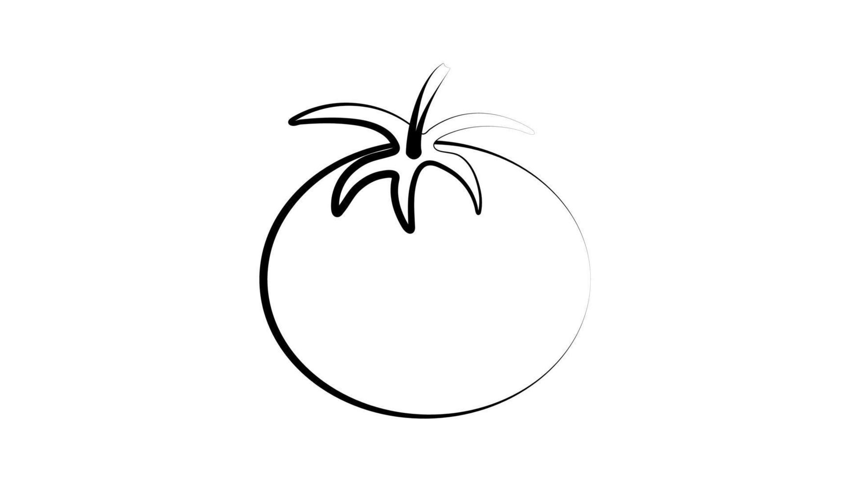 schetsen stijl tekening van glimmend rijp tomaat, vector illustratie geïsoleerd Aan wit achtergrond. smakelijk helder rood tomaat, kant visie, hand- getrokken illustratie