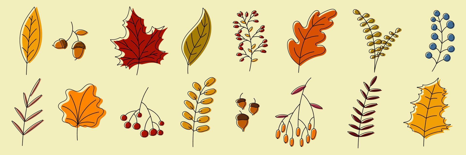 hand- getrokken herfst verzameling met seizoensgebonden planten en bladeren. reeks van hand- getrokken planten, bladeren, bloemen. kleurrijk van natuurlijk elementen voor seizoensgebonden achtergronden. vector illustratie