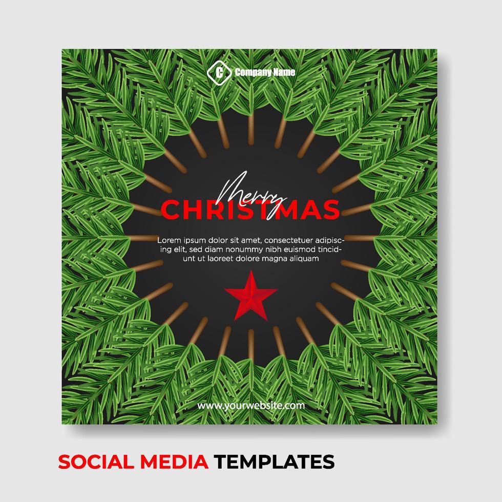 vrolijk Kerstmis sociaal media post met Kerstmis thema decoraties geschikt voor uw bedrijf behoeften en vergelijkbaar thema's vector