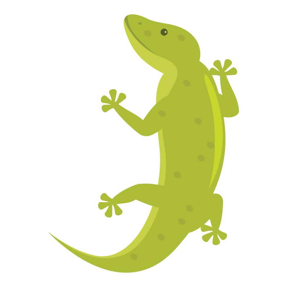 groen dier icoon tekenfilm vector. gekko hagedis vector