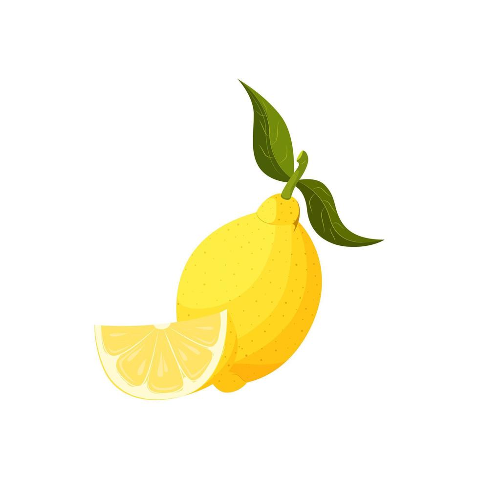 vector illustratie van een geïsoleerd geheel citroen en haar voor de helft. geel sappig fruit met schaduwen en hoogtepunten.