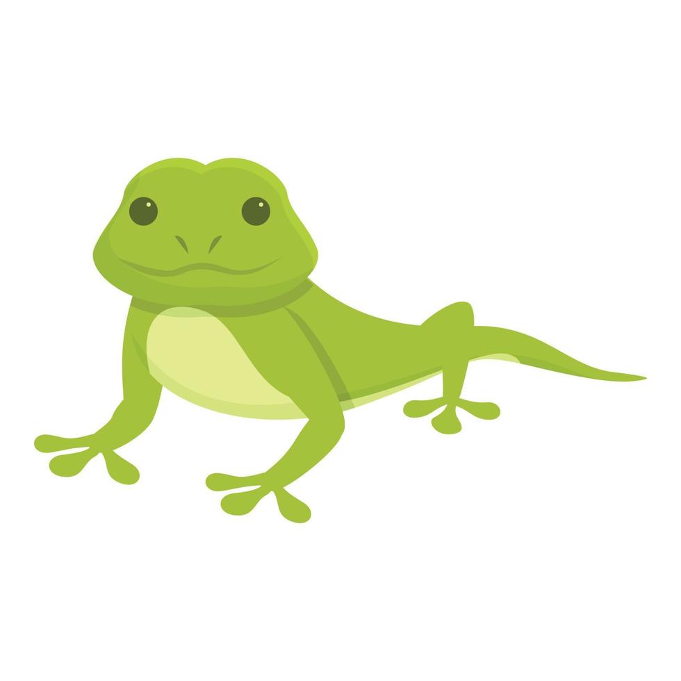 salamander icoon tekenfilm vector. hagedis dier vector