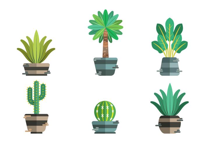 Yucca Vector Item Pack