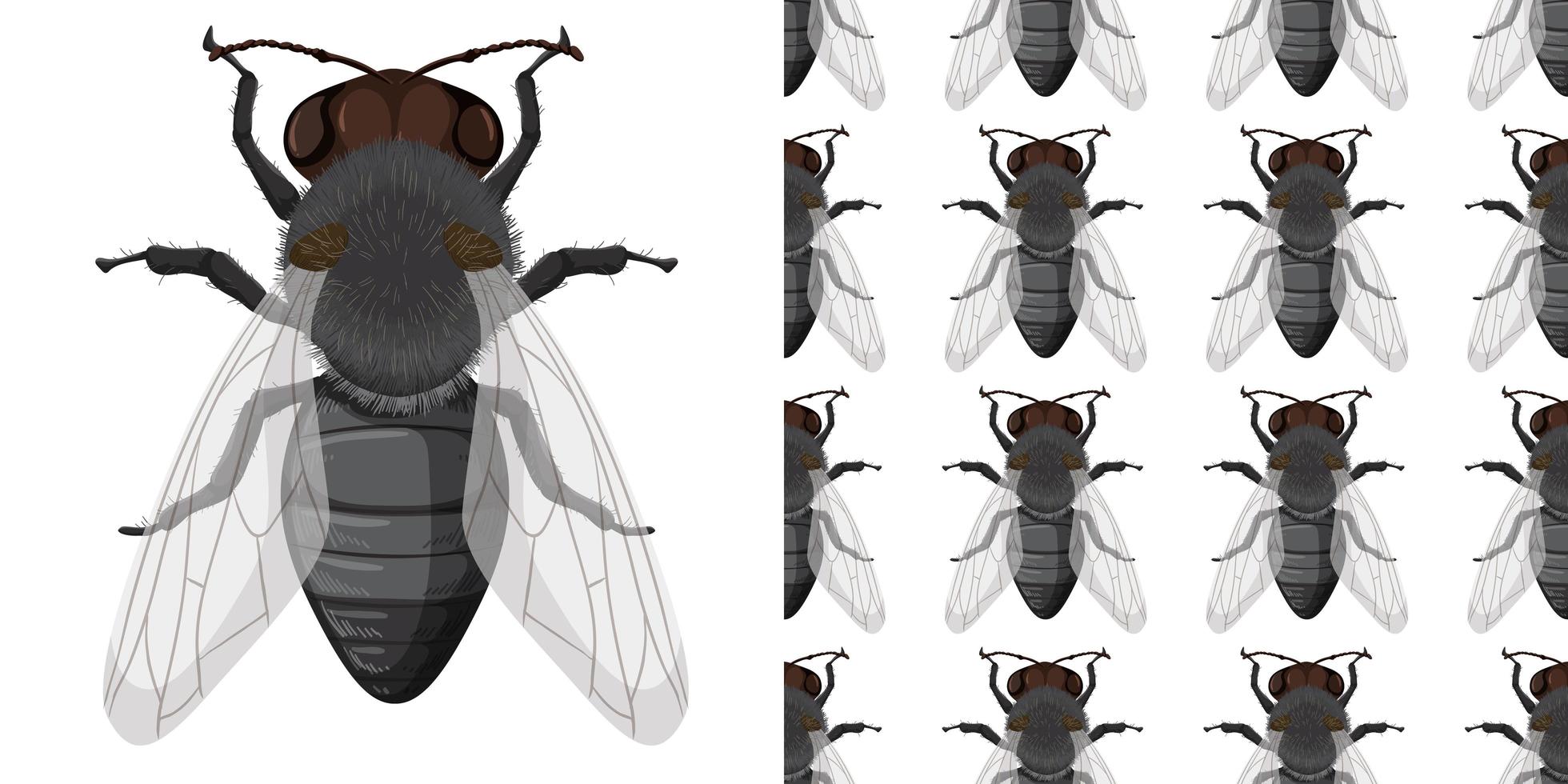 vlieginsect en naadloze achtergrond vector